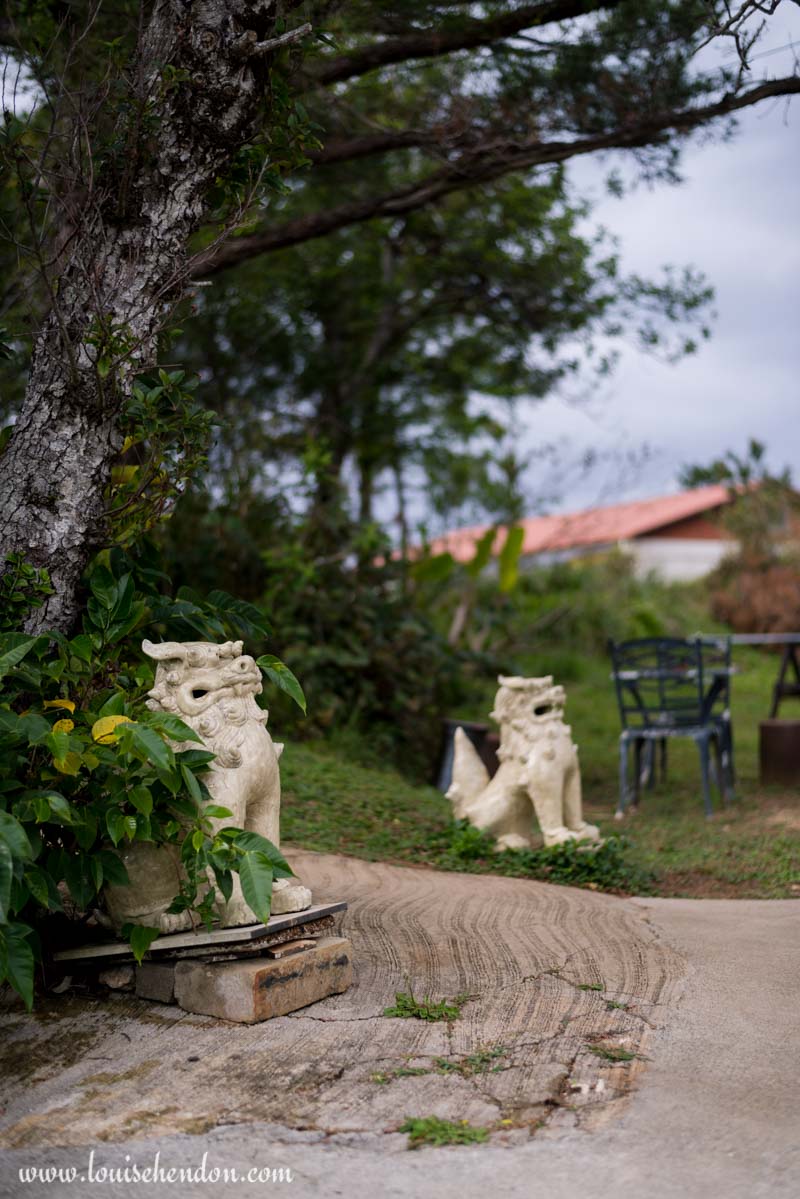 shisas lion dog statues yomitan pottery village okinawa japan